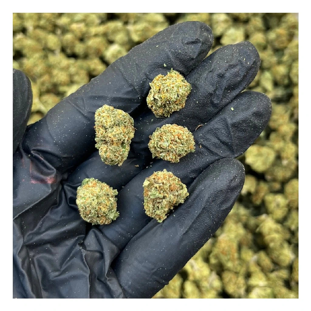 THC - X květy Blueberry Muffin 10 g - THCX: 40 % CBD: 12,86 % THC: 0,06 %