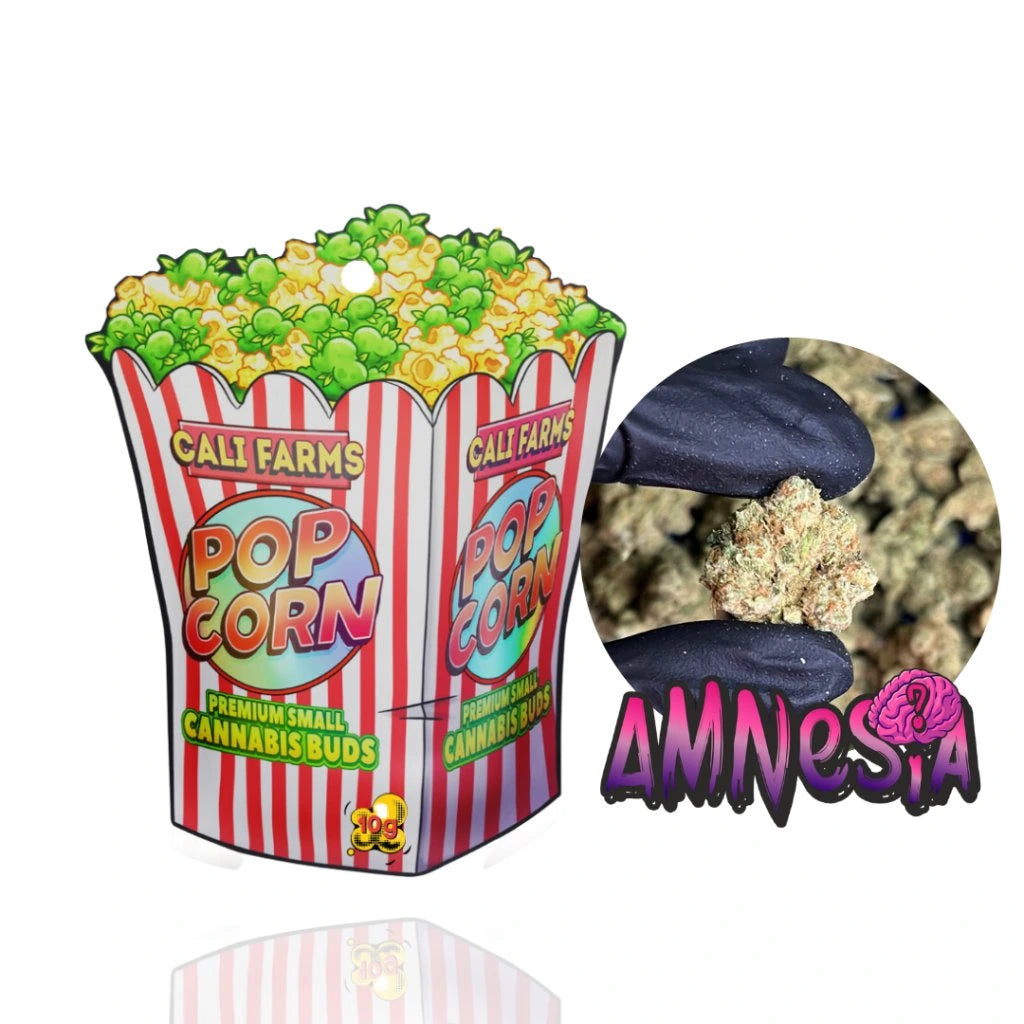 THC - X květy Amnesia 10 g - THC - X: 40 % CBD: 12,88 % THC: 0,07 %