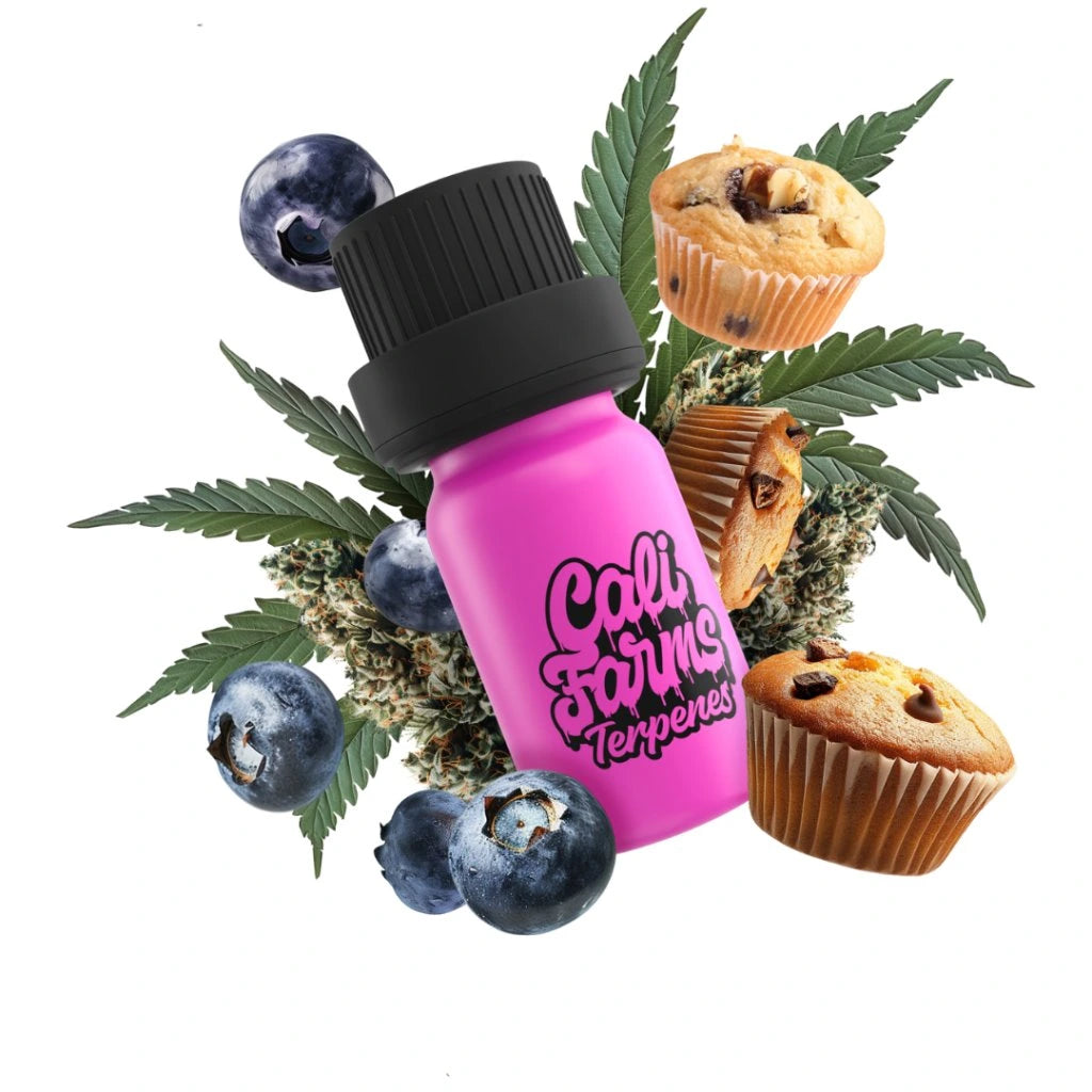 Blueberry Muffin Terpeny