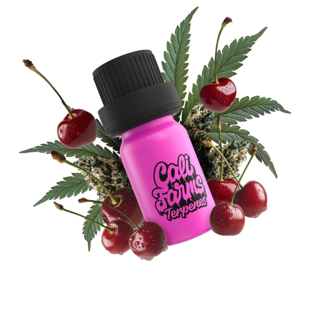 Cherry Diesel Terpeny