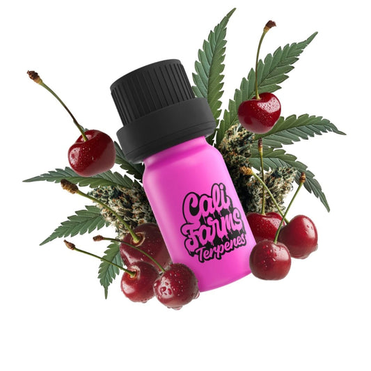 Cherry Diesel Terpeny