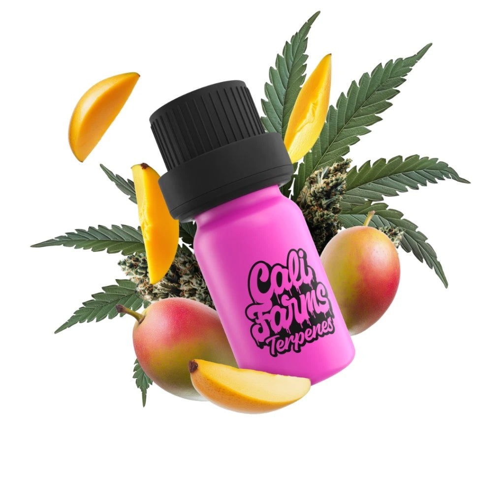 Mango Dream Terpeny