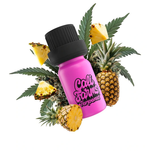 Pineapple Slushie Terpeny