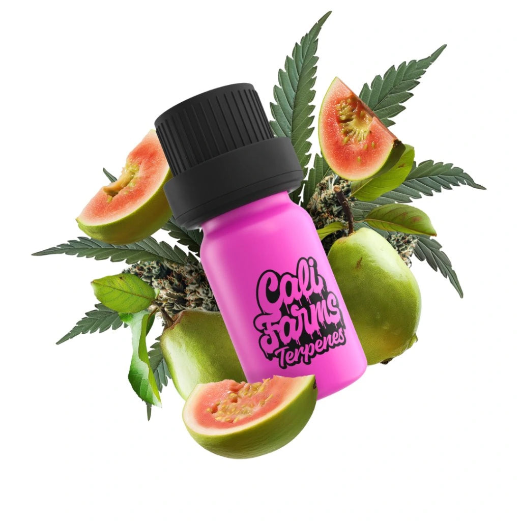 Guava Gelato Terpeny
