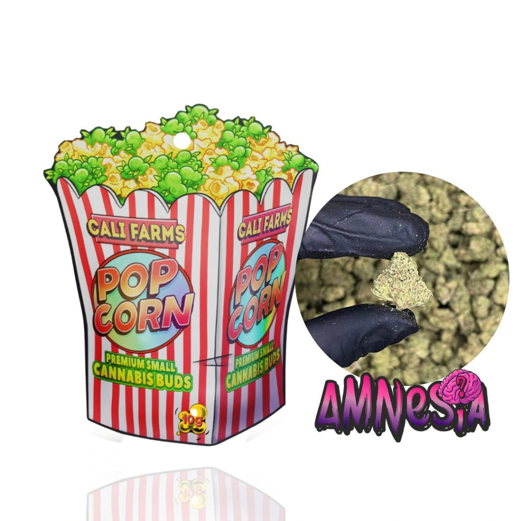 CBD květy Amnesia 10 g - CBD: 9,76 % THC: 0,42 % CBDA: 10,83 %