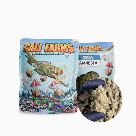 CBD květy Amnesia ''BIG BUDS'' - CBD: 9,76 % THC: 0,42 % CBDA: 10,83 % 