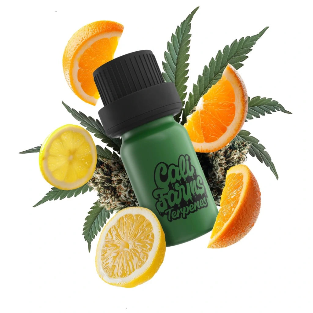 Sleep terpeny  Domů Terpeny