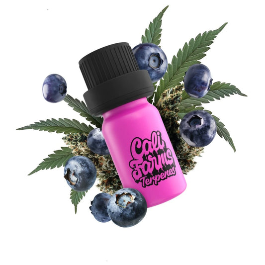Blueberry OG Terpeny