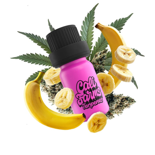 Banana OG Terpeny