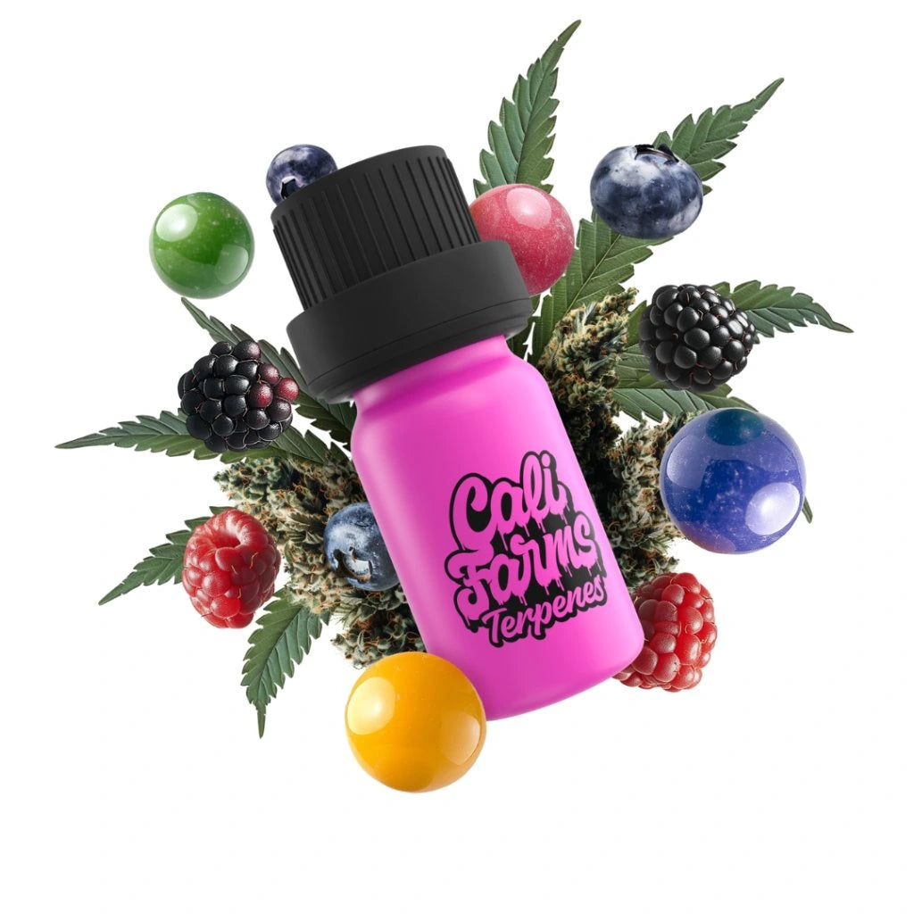 Bubble Gum Glue Terpeny