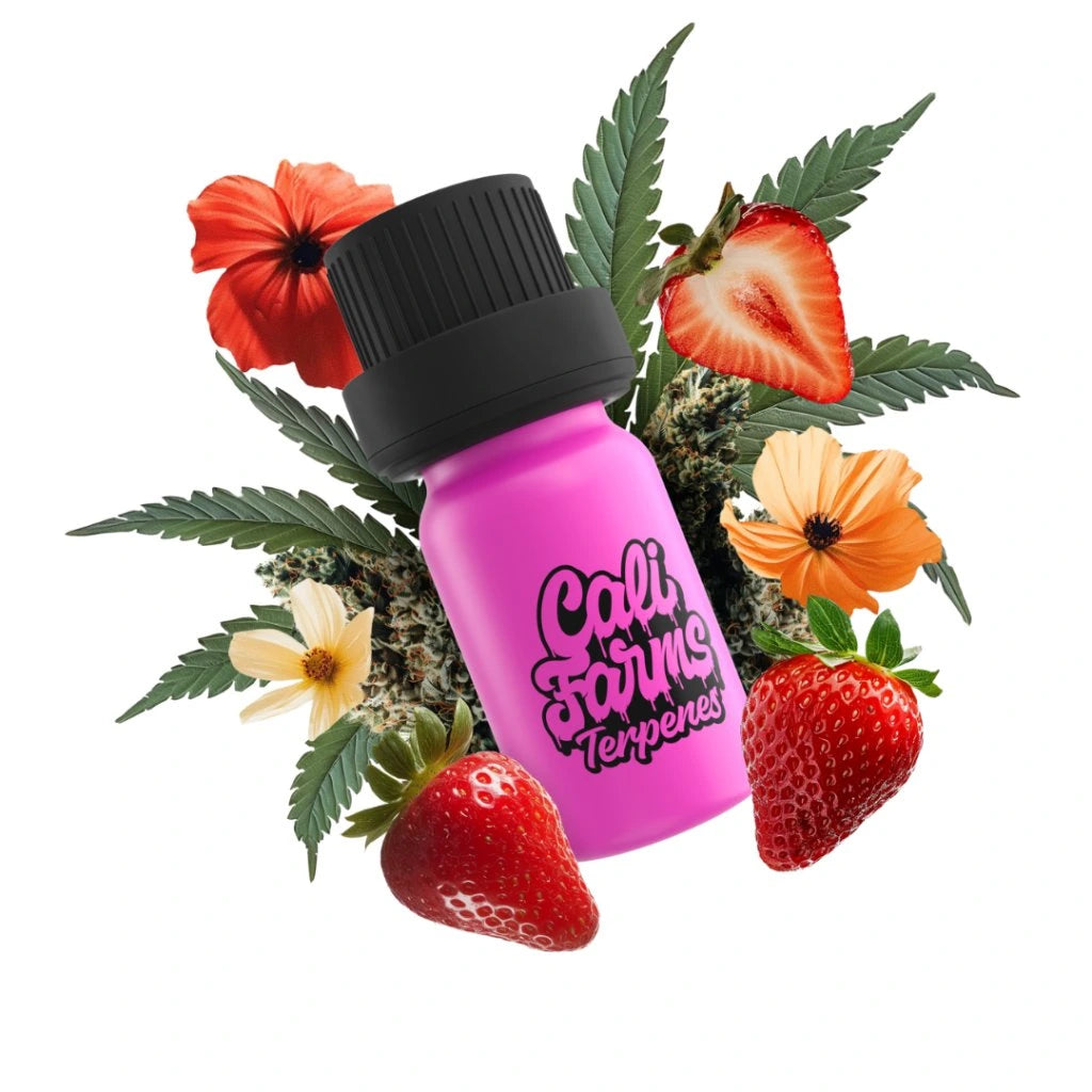 Strawberry Cough Terpeny