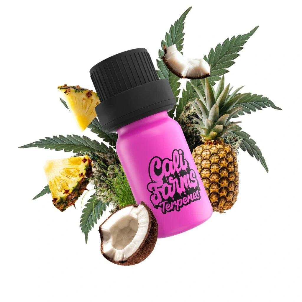 Forbidden fruit Terpeny