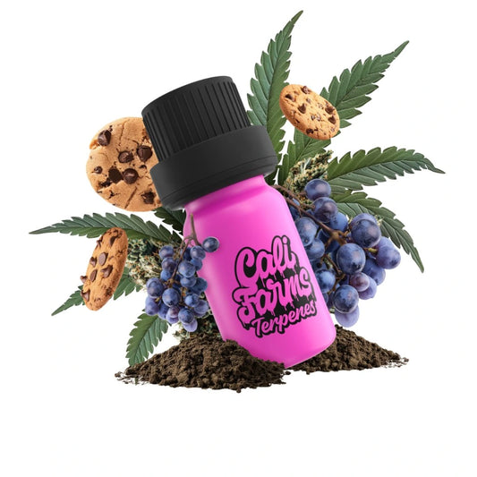 Grape Cookies Terpeny