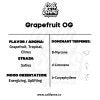 Grapefruit OG Terpeny