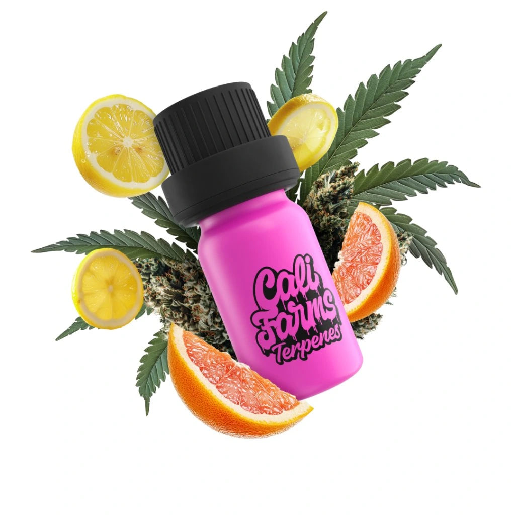 Grapefruit OG Terpeny